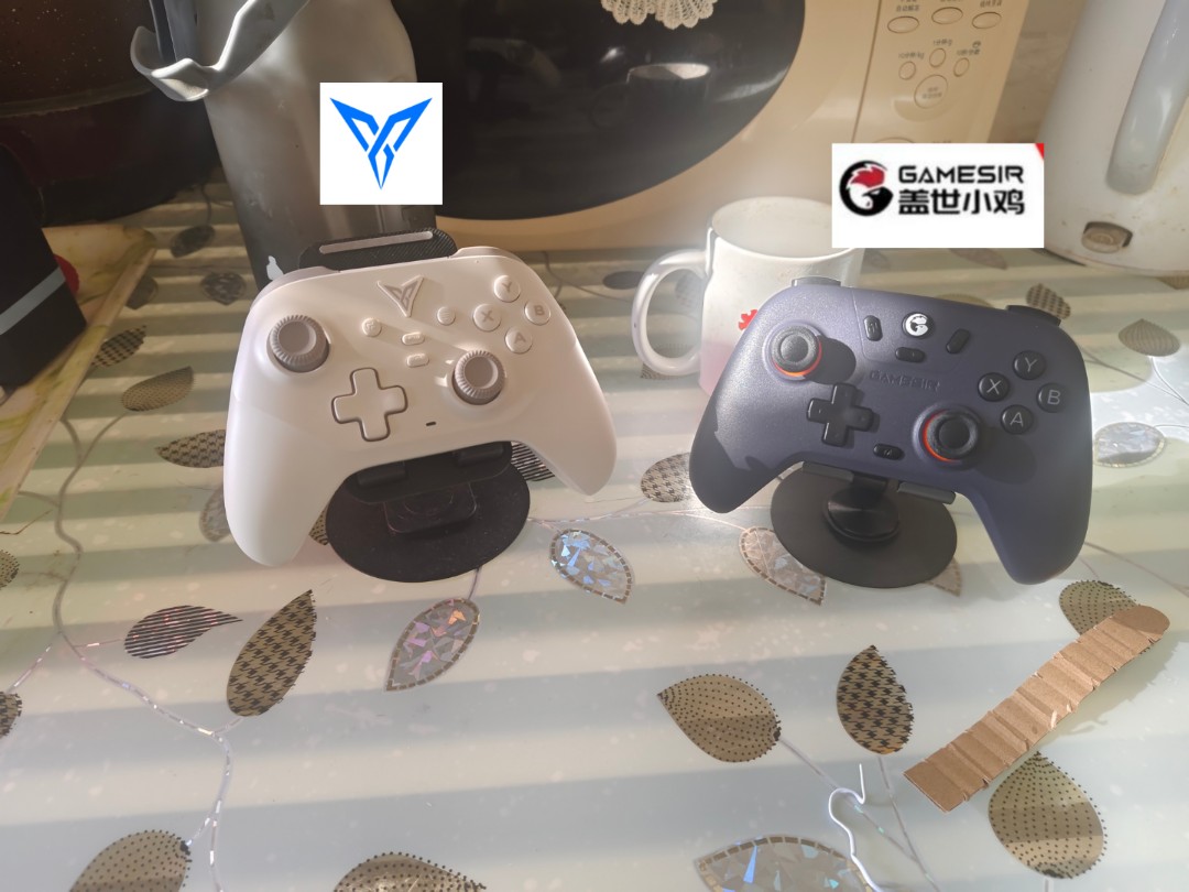 小鸡启明星和飞智沙漠狐怎么选