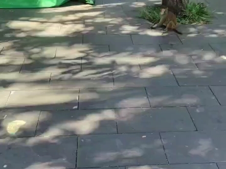 猴岛公园，海南陵水
