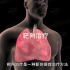 【医学3D】：肺癌的治疗