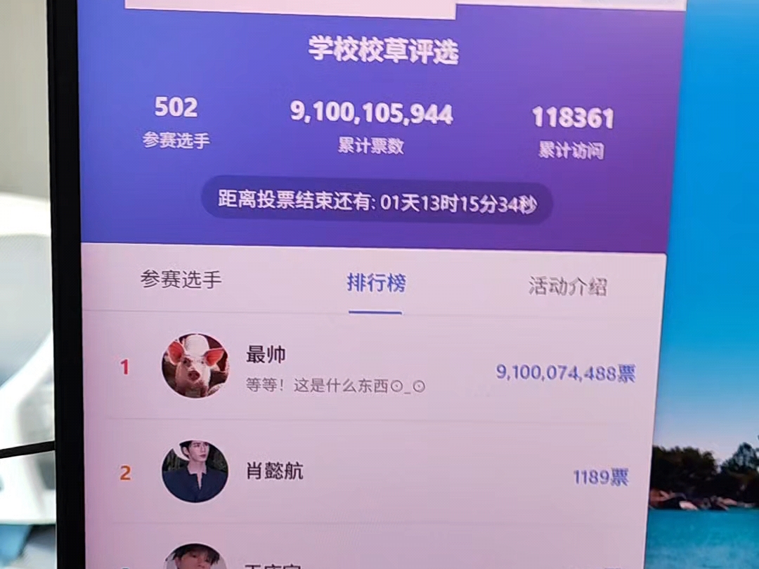 把一头猪投成校草