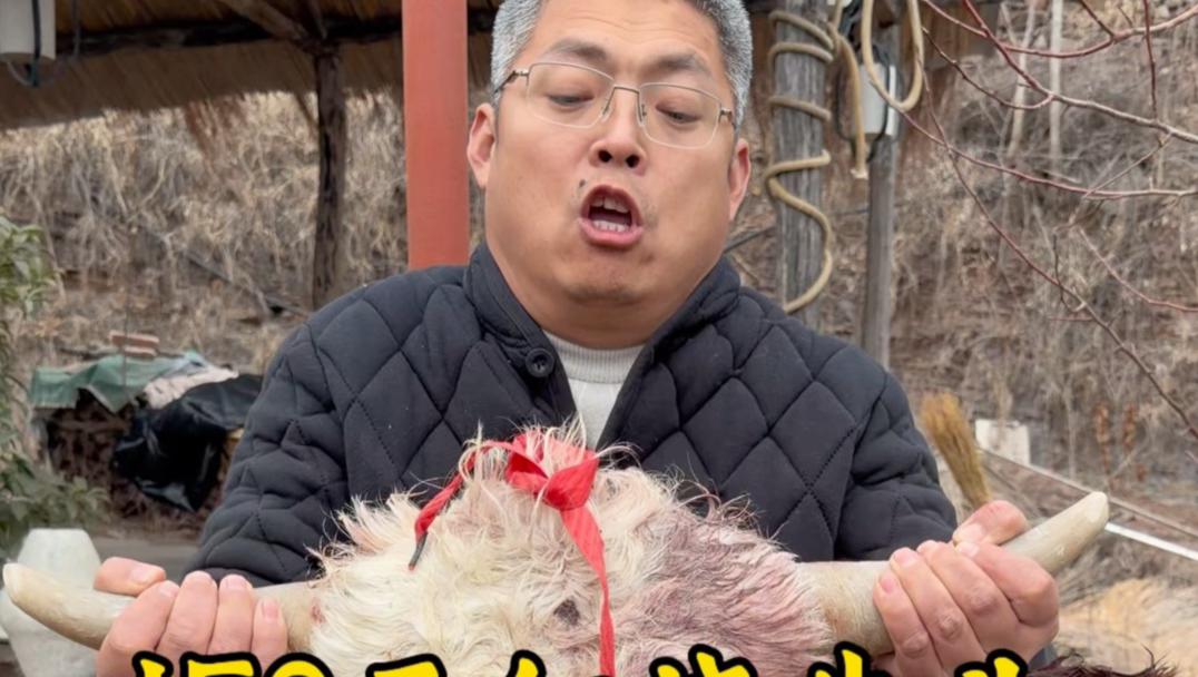 150元红烧牛头