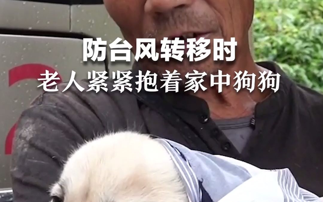 “无论在哪里，我们都在一起” 防台风转移时，老人怀中紧紧抱着家中狗狗：这是我“囡囡” 。