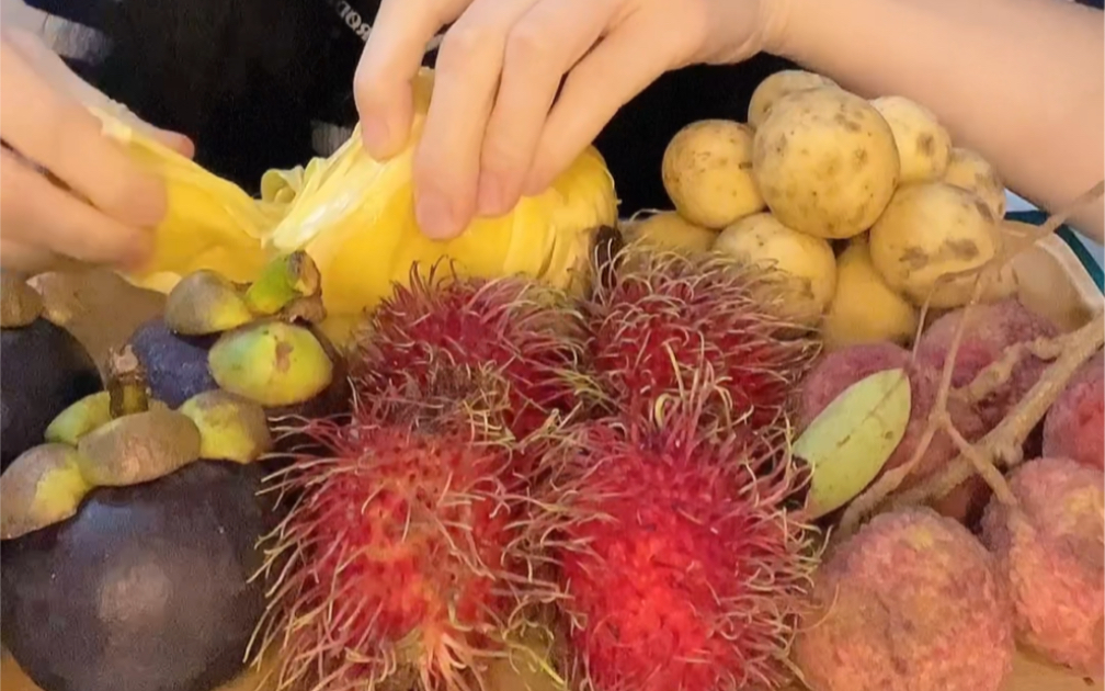 吃剥水果系列｜菠萝蜜、红毛丹、山竹、龙宫果、荔枝。猜猜我比较喜欢哪个水果吧～