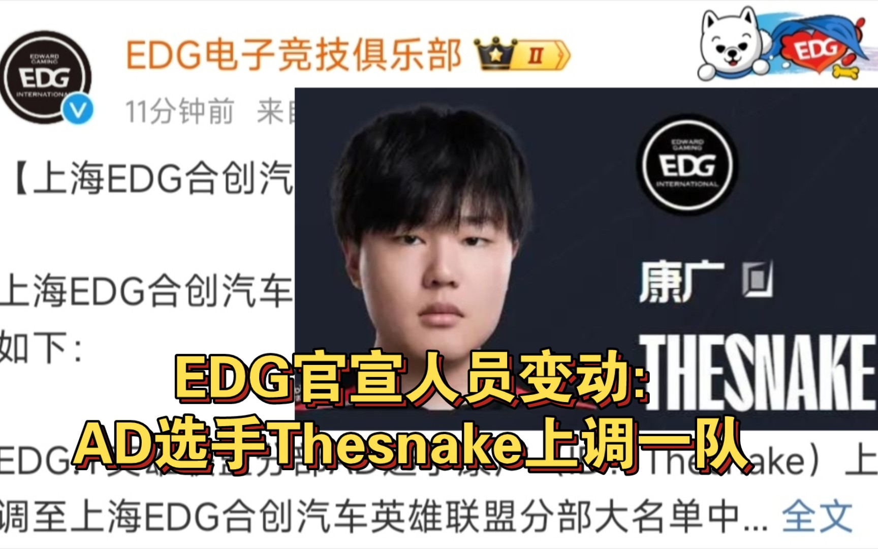 EDG官宣人员变动:AD选手Thesnake上调一队哔哩哔哩bilibili