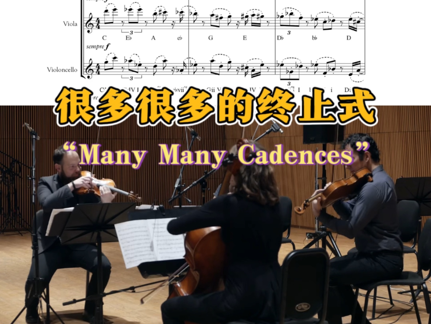 【自制视频乐谱】弦乐四重奏：很多很多的终止式“Many Many Cadences”