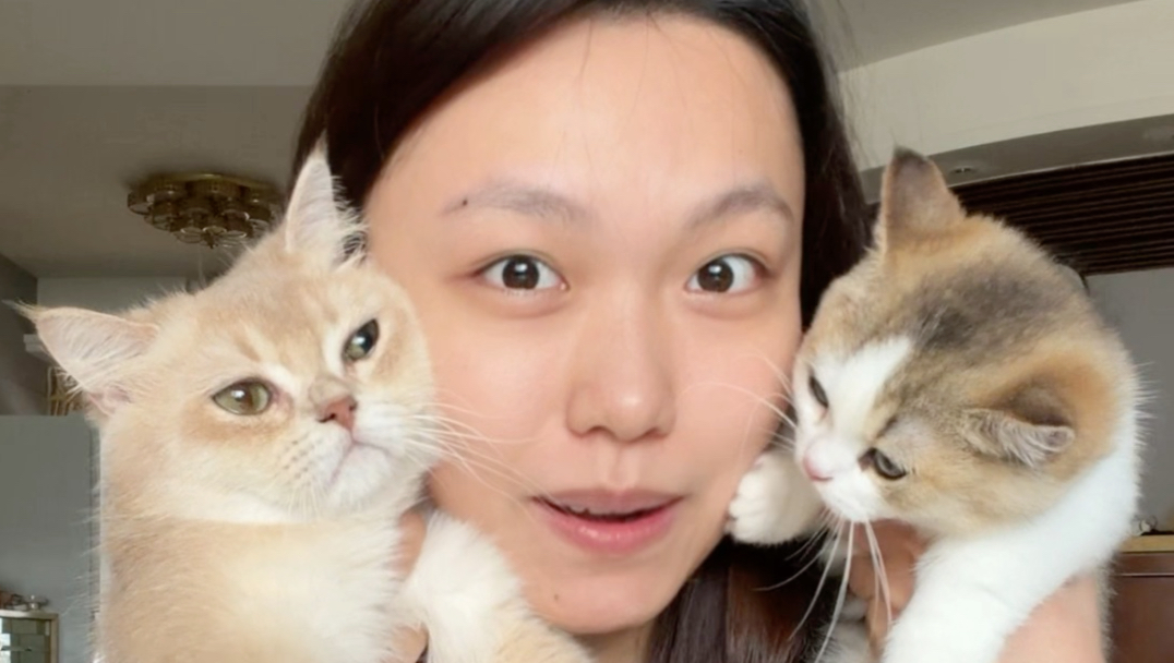 救命！都是小猫怎么差别这么大！