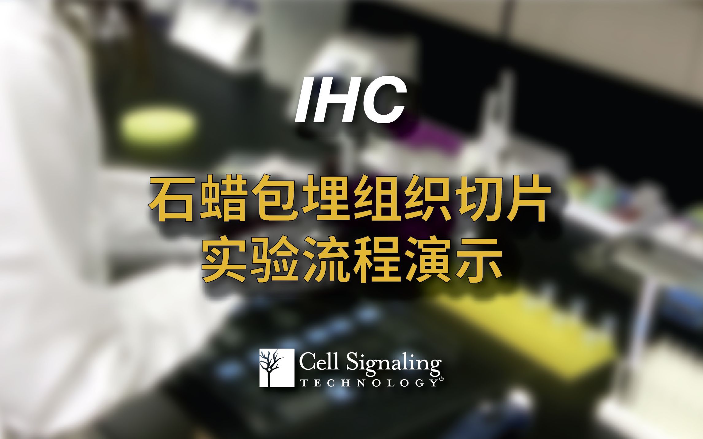 【免疫组化/ihc】石蜡包埋组织切片实验流程演示