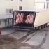 美国大货车卸猪肉，工人刚准备卸货突然发觉不对劲，监控记录惊险一幕