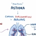 【搬运osmosis】Asthma
