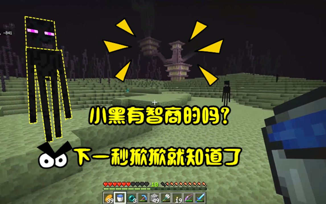 我的世界粉丝联机50小黑有智商吗掀掀看到末地城瞬间明白了