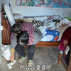 女大学生嫁小学毕业男的农村留守生活vlog
