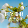 “爱自己开满鲜花的宇宙”高清素材｜花朵素材｜素材分享