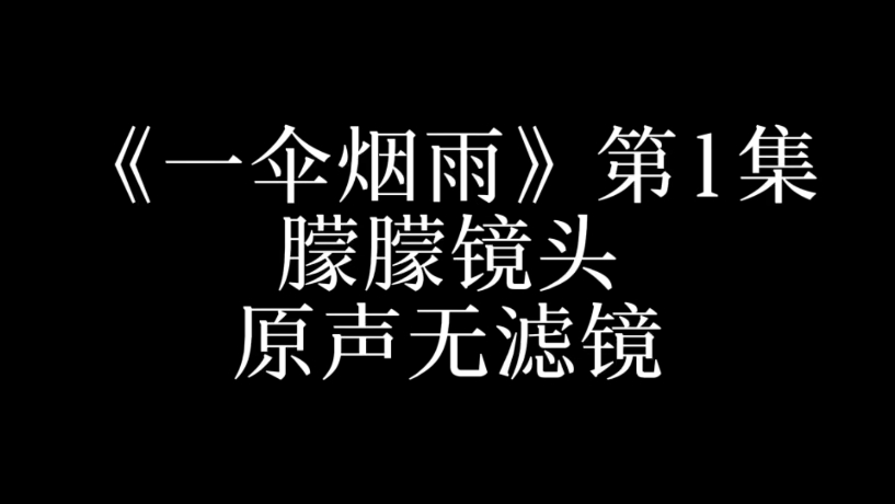 以后会一集一更，一共有24集