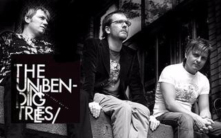 【mv/中字】you are a lover - the unbending trees