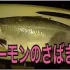 日本硬汉处理5KG三文鱼