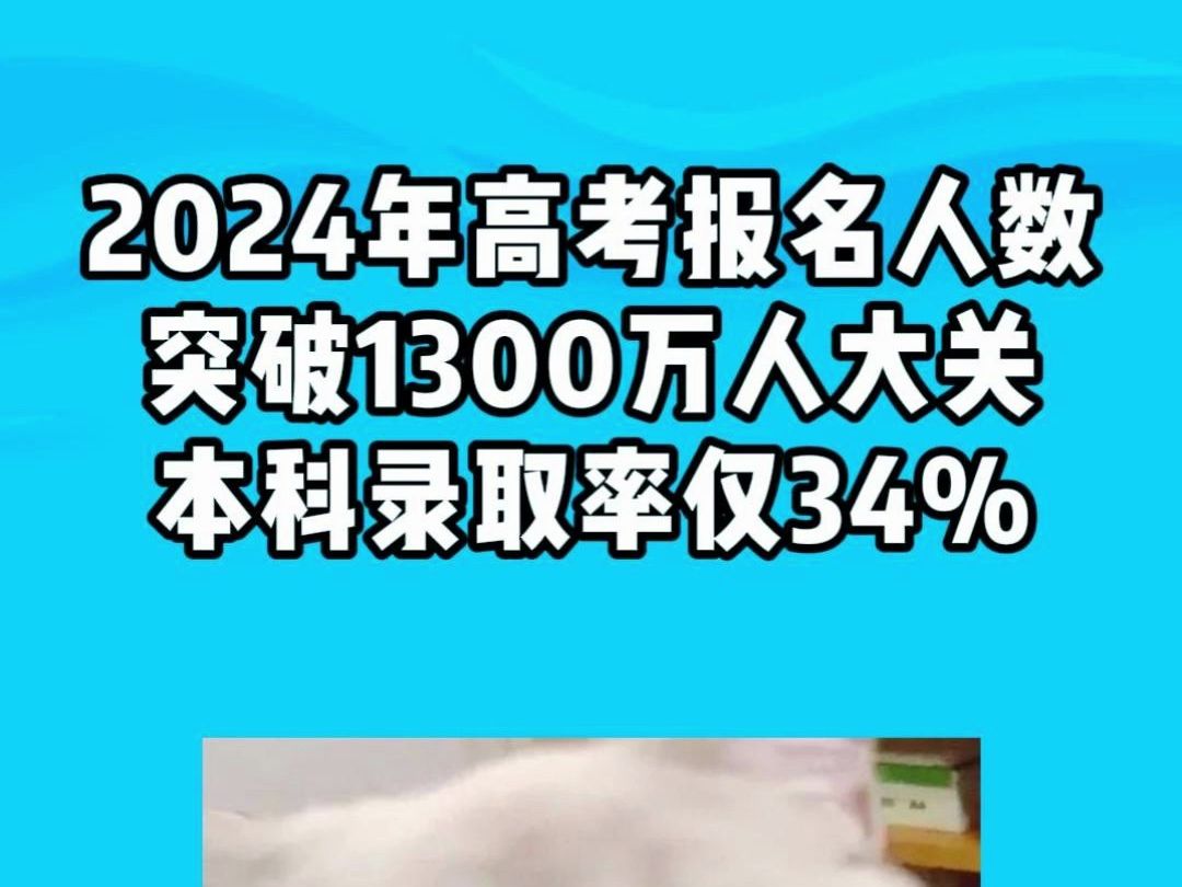 2024年高考报名人数突破1300万人大关,本科录取率仅34%哔哩哔哩bilibili