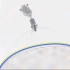噬菌体攻击大肠杆菌模拟动画