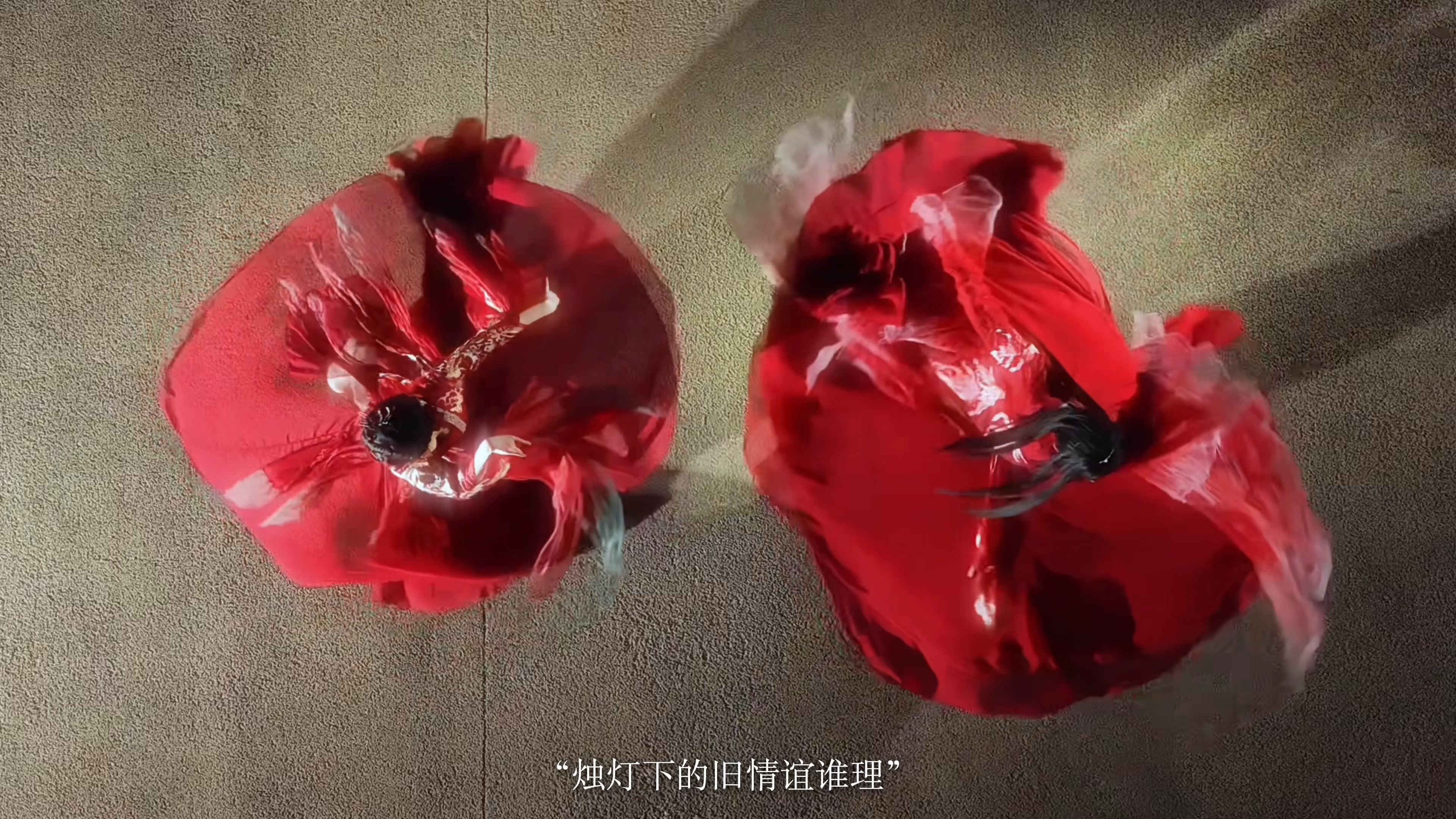 一年四季的更替，竹篱下的乱花影