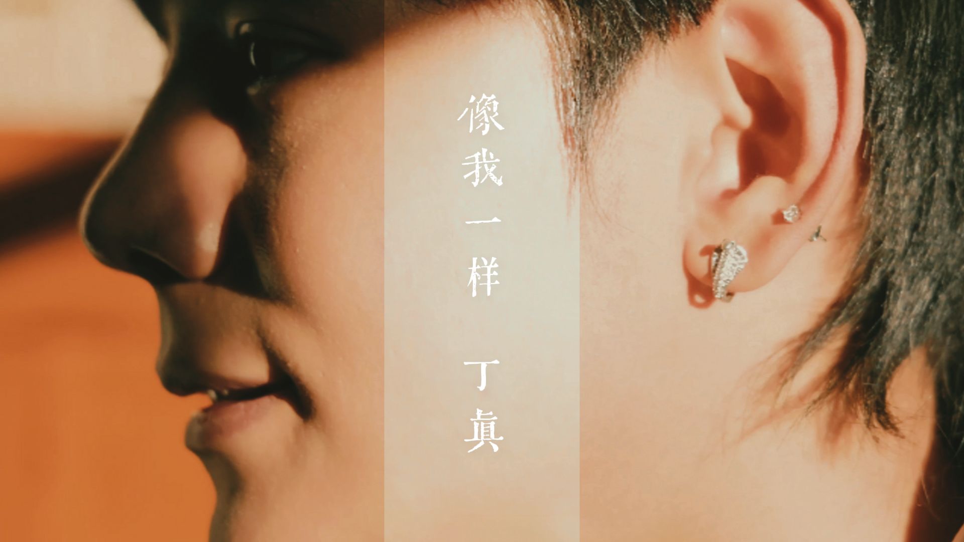 丁真：《像我一样》