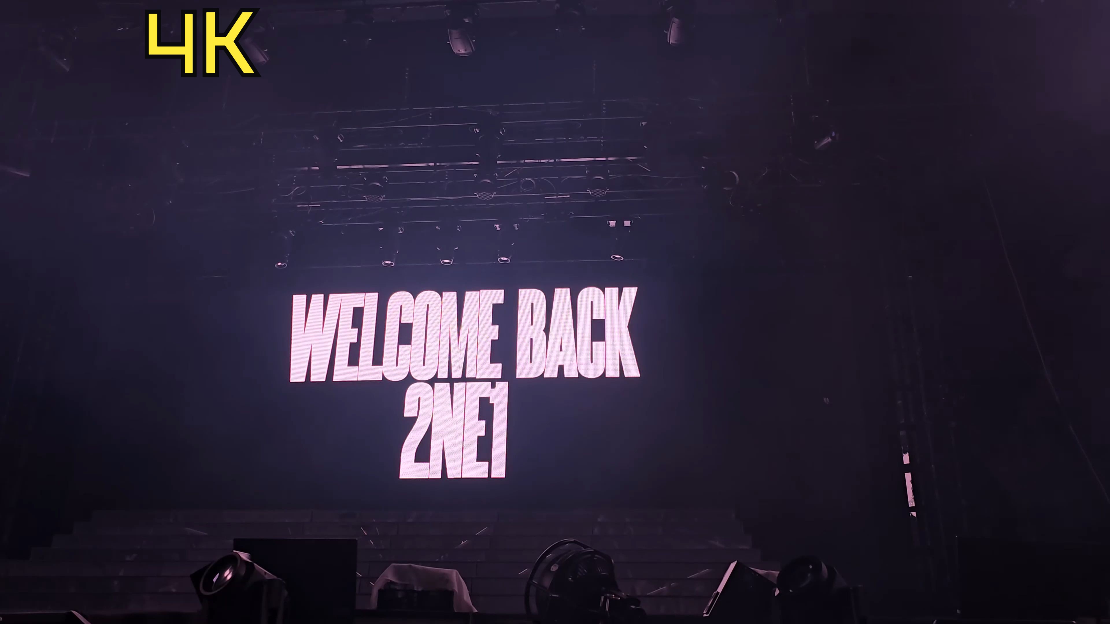 2NE1 WELCOME BACK首尔演唱会震撼开唱《FIRE》现场!!!哔哩哔哩bilibili