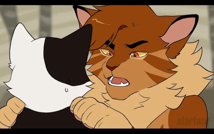 油管猫武士搞笑短片丨狮焰蟾步丨lionblazedoesntliketoadstepsdad