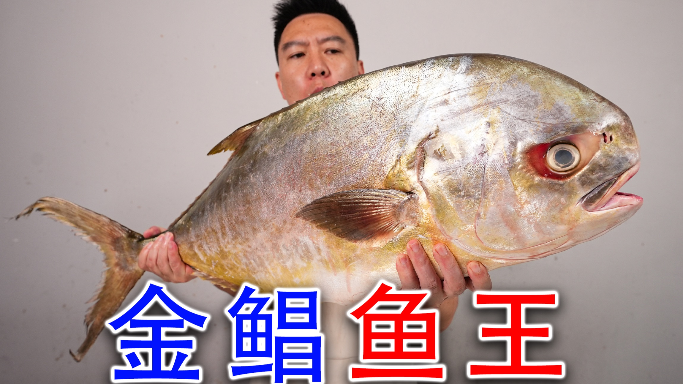 可遇不可求的鱼王，20斤巨大金鲳鱼，它真的好吃吗？