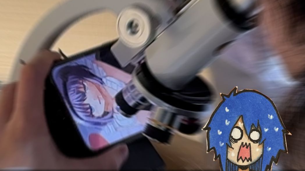 专家：我发现了二次元