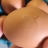 家里的鸡蛋有裂痕，难道是小鸡仔要破壳而出了？耐心等到最后，真的有被这个小东西惊喜到