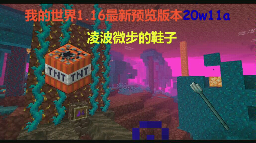 凌波微步的鞋子我的世界116最新预览版本20w11a