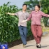 共富Show丨温州女人：小英夫妇的直播间，吆喝的不是玉米，是幸福