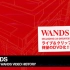 WANDS - BEST OF WANDS VIDEO HISTORY