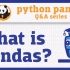 【全30集】使用 pandas 进行数据分析：Data analysis in Python with pandas