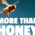 【纪录片】采得百花成蜜后 More Than Honey【720p中字】【2012】