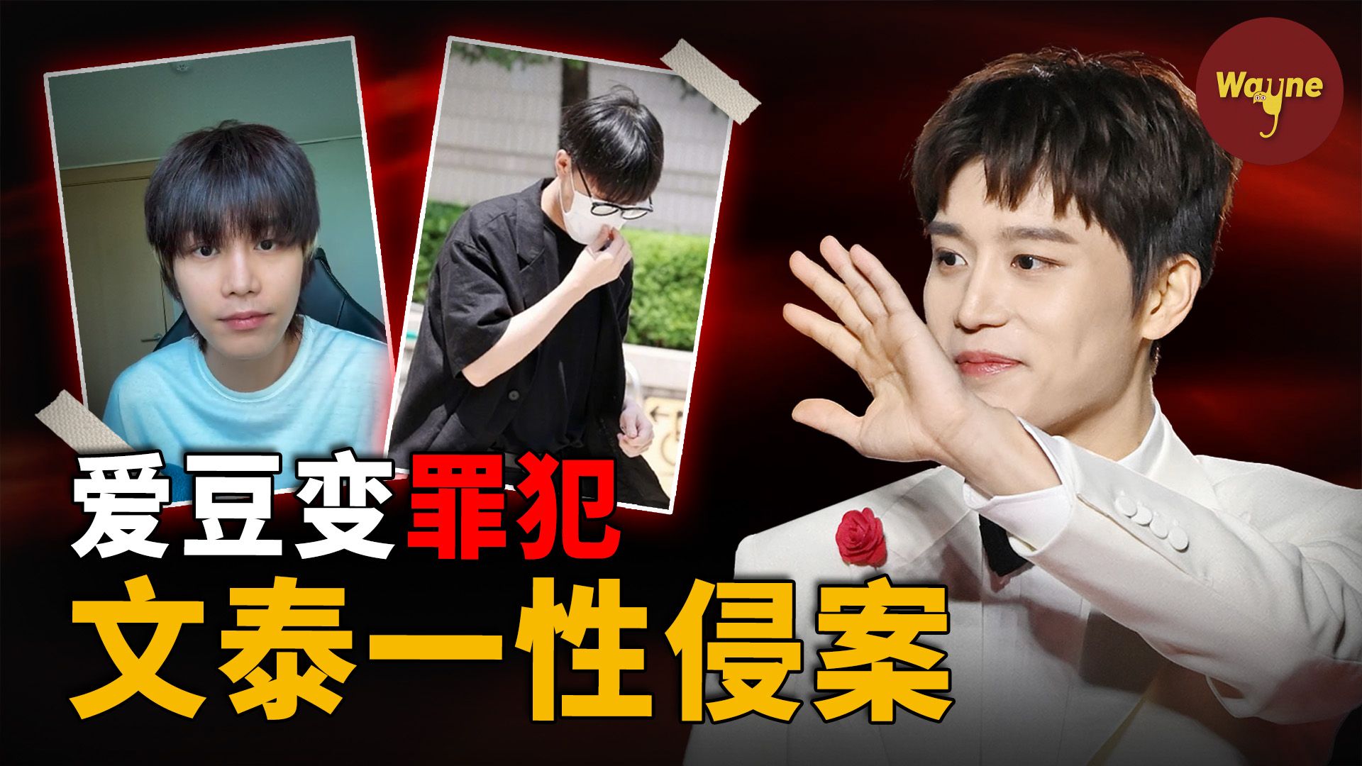 台上“佛系”爱豆，台下“狱系”罪犯，合伙性侵中国女游客的剧毒“老实人” ｜ 文泰一性侵案 ｜ Wayne调查