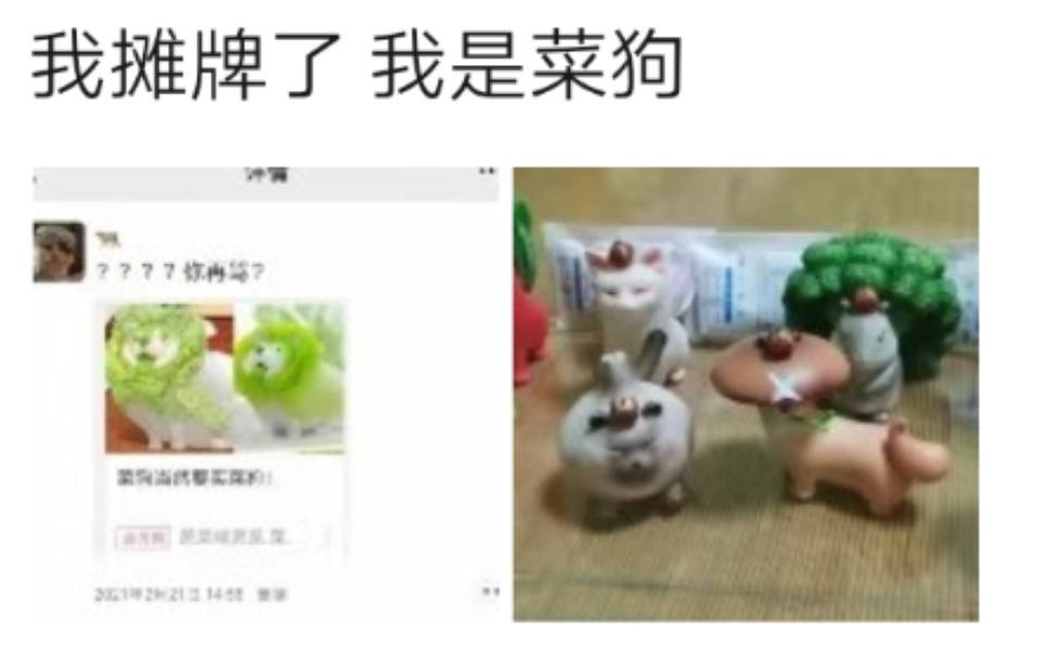 菜狗当然要买菜狗蔬菜精灵系列盲盒的实物及众筹版解锁赠品的横向对比
