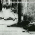 南京大屠杀历史影像资料（作业用）