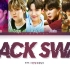 【防弹少年团】BTS-Black Swan歌词版（歌词分配非官方）