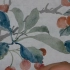 【国画】南山老师小技巧:恽寿平的没骨画樱桃之叶脉