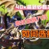 【清风大虫巢】战锤40k 泰伦虫族 新手入坑指南【上】