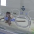 “悟空”惊了！“拔毛变猴”成现实，世界首例体细胞克隆猴在中国诞生