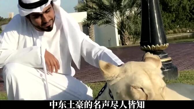 沙特阿拉伯开国之君伊本.沙特！40匹骆驼30支枪开创“石油王国”
