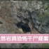 云南省大理市【牧羊人在天然岩洞里发现一具恐怖干尸】《天然岩洞恐怖干尸疑案》