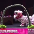 2019美高梅-传统女狮「冠军」-深圳桥头醒狮团。公众号：龙狮文化传媒
