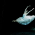【芭蕾】【全剧】【英国皇家芭蕾】吉赛尔 2014年