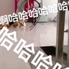（音量警告）去年的女王翻车视频哈哈哈哈哈