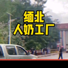 缅北人奶工厂