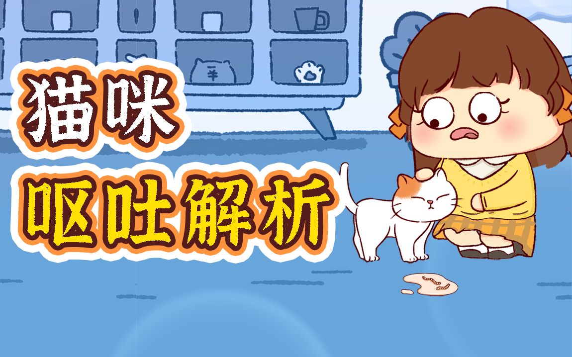 猫咪呕吐先别慌!超实用自查攻略来了.哔哩哔哩bilibili