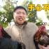 【黔东南吃饭故事EP1】斗鸡比赛：胜者为王，败者为辣子鸡！