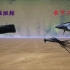 【方舟实验室】利维坦鲸VS方舟水下二巨头！！！