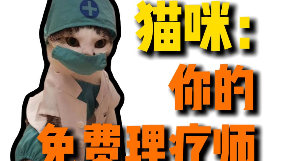原来猫咪天生就具备治愈人类的能力